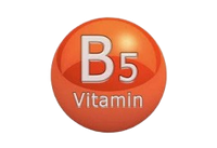 Vitamin B5